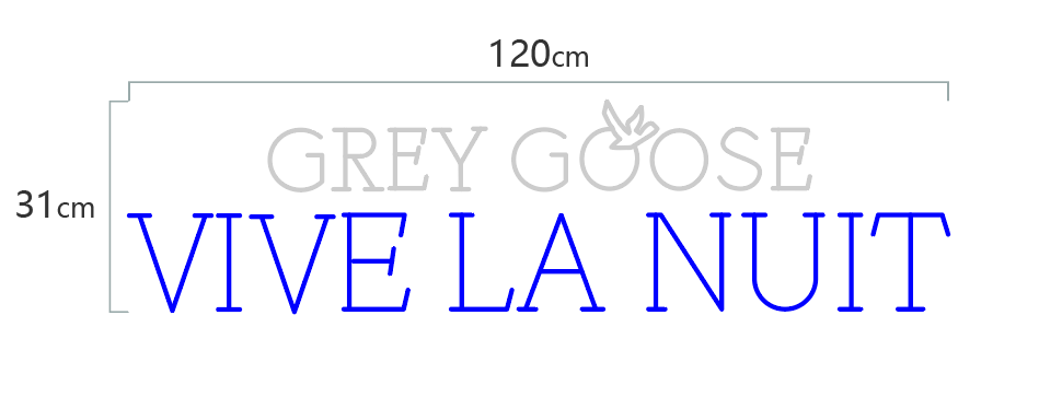 Grey Goose X NeonWorld